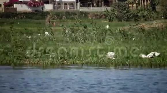 从尼罗河上的一艘船上俯瞰海岸沿岸有垃圾环境污染环境问题视频的预览图