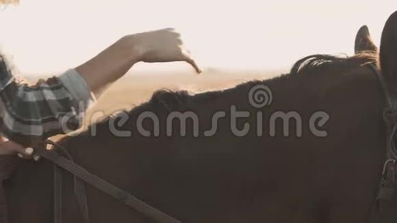 年轻女子坐在马背上用手抚马鬃毛视频的预览图