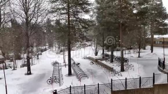 梦中的降雪4K视频在大学地面与分枝树木周围的冬季视频的预览图