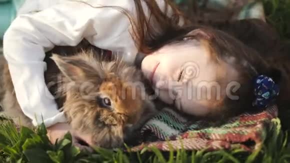 小女孩和棕色兔子躺在绿色的草坪上拥抱女孩玩最喜欢的宠物一只兔子视频的预览图
