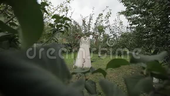 新娘衣服挂在苹果树上非常漂亮和优雅婚礼视频的预览图