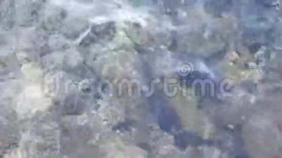 海或海的绿松石水面视频的预览图