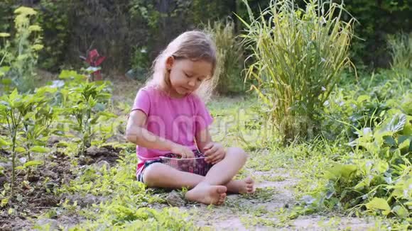 小女孩正在吃草莓看着坐在草地上的相机视频的预览图