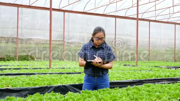 亚洲女园丁用笔记本电脑在温室工作考察水培菜地的新鲜有机蔬菜视频的预览图
