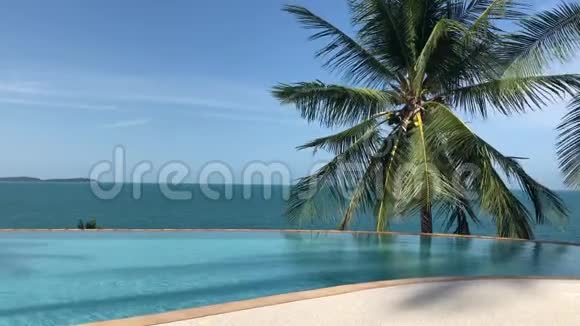 海景和豪华游泳池棕榈叶在风中摇摆视频的预览图
