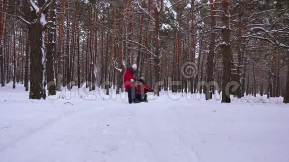 快乐的孩子骑着爸爸在雪橇和一个充气雪管在松林快乐的家庭在冬季公园玩耍视频的预览图