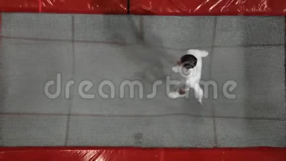 一个穿着白色衣服的男人在蹦床上跳视频的预览图