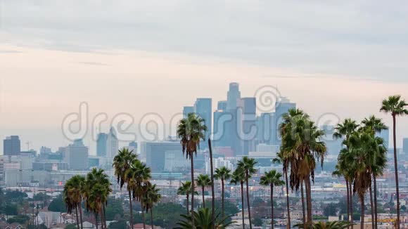 洛杉矶日落景色与棕榈树和市中心背景视频的预览图