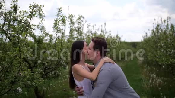 浪漫的年轻夫妇在果园里休闲视频的预览图