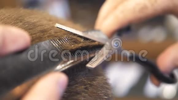 理发店里的理发师用梳子和剪刀把顾客的短发梳剪关门视频的预览图