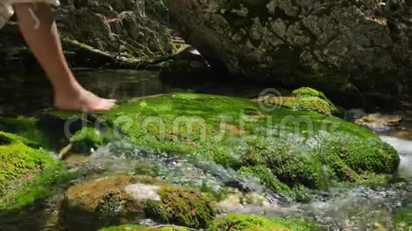 女孩旅行者赤着脚踩着生长在森林里一条山河床上的苔藓视频的预览图