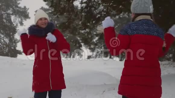 快乐的女朋友在松林里玩雪球孩子们在公园里玩雪圣诞节假期青少年视频的预览图
