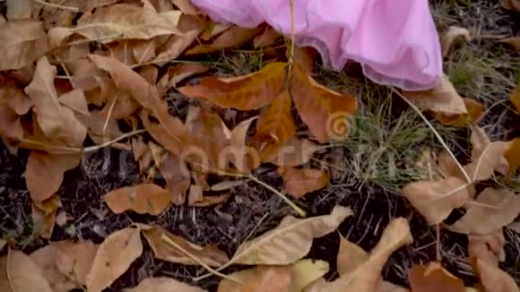 粉红色的婴儿裙躺在落叶上视频的预览图