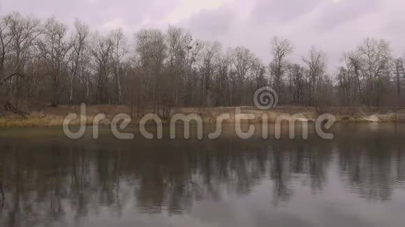 河流海岸和落叶林的景观水流视频的预览图