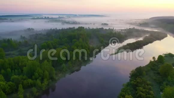 绿林被雾气覆盖沿农村地区流动的河流视频的预览图