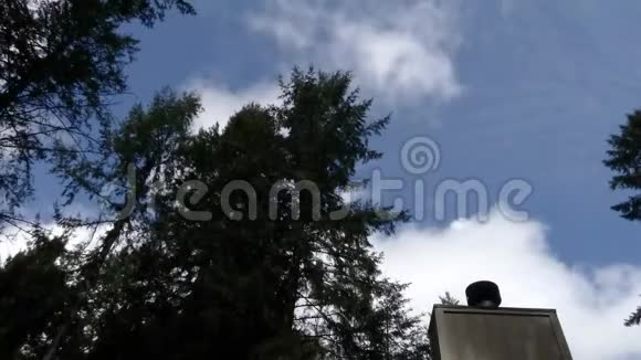 夏天蓝天穿过黑暗的树梢和家的顶端视频的预览图