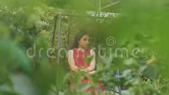 穿红衣服的女孩在绿色花园的秋千上抚摸视频的预览图