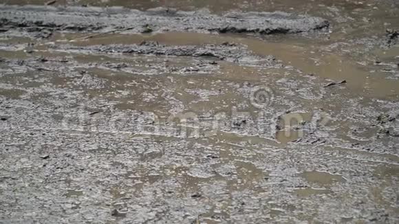 雨中潮湿的土壤沼泽中成年鞋的水坑和脚印视频的预览图