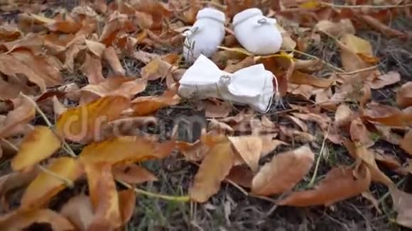 婴儿鞋和蝴蝶结躺在落叶上视频的预览图