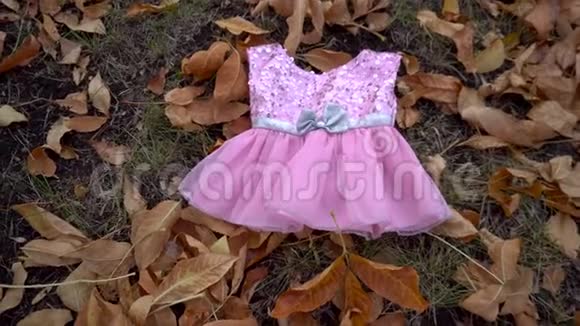 粉红色的婴儿裙躺在落叶上视频的预览图