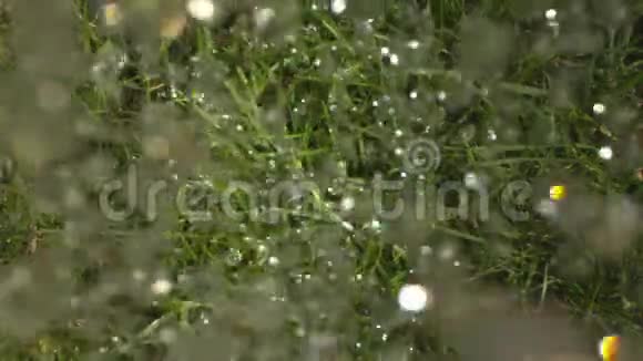 大雨落在幻影和老瓦森林拍摄的地面上视频的预览图