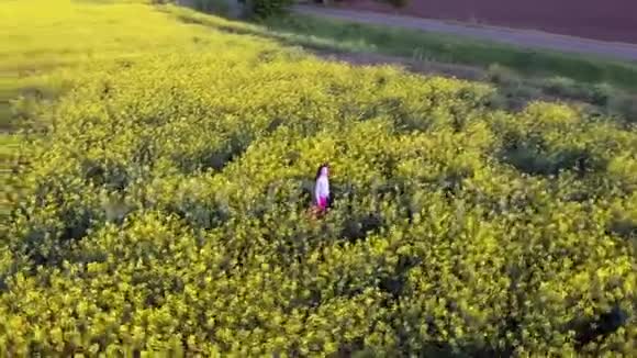 小女孩在油菜花中的田野里鸟s眼视频的预览图