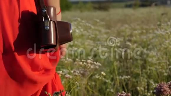 穿着红色衣服的女人穿着邋遢的相机带着鲜花沿着田野走视频的预览图