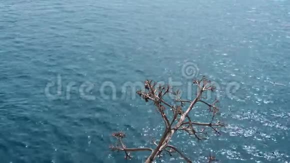 欣赏亚得里亚海的景色视频的预览图