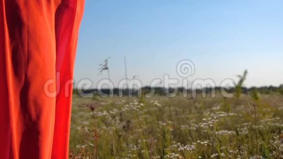 一个箱子里的照相机是由一只雌性手在夏天的田野里拍摄的视频的预览图