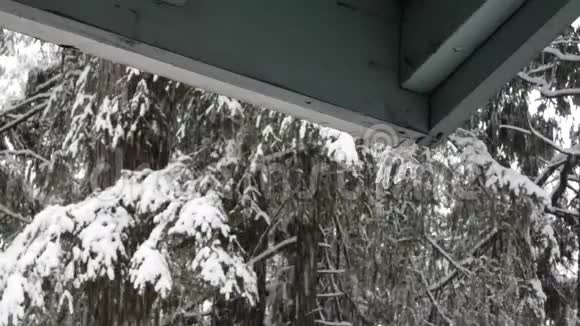 从屋顶角落融化的冰柱视频的预览图