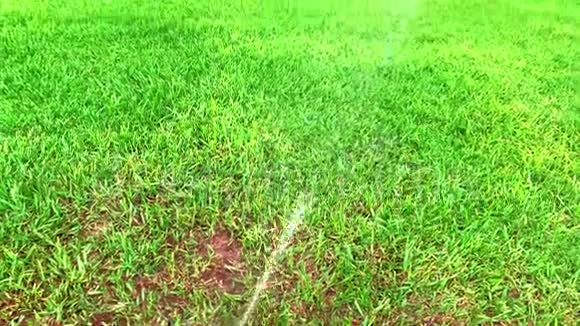 高温天气自动草坪浇水视频的预览图