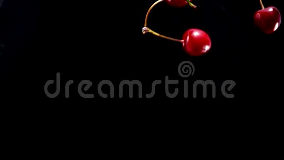 成熟的樱桃滴在黑色背景上视频的预览图