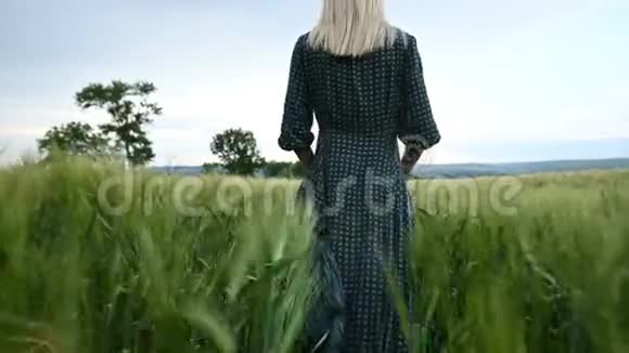 低角度后视一个年轻的金发女孩穿着宽松的绿色连衣裙悠闲地沿着一片绿色的麦田散步这就是视频的预览图