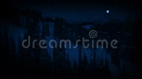 夜幕降临满月降临视频的预览图
