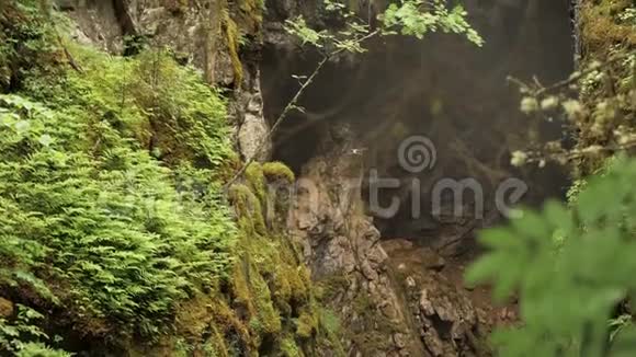 在夏日绿林背景下无人机在户外飞行库存录像四架直升机在陡峭的岩石前飞行视频的预览图