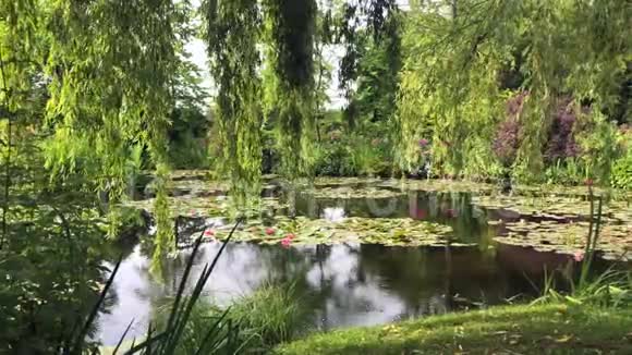 法国吉维尼的莫奈花园视频的预览图