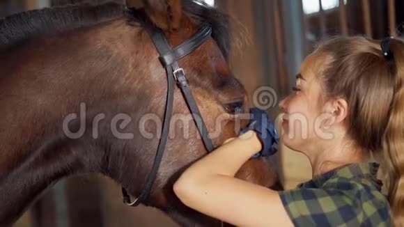 长发美女在马厩里抚摸他的马视频的预览图