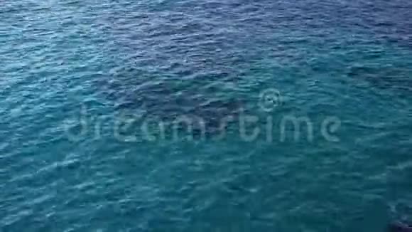 扰动的蓝色海洋水面不错的循环背景视频的预览图