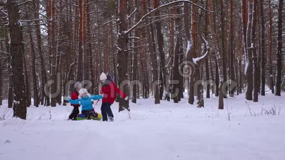 快乐的少年儿童在冬天在松树公园里骑着雪碟笑着女孩子在针叶林中打雪橇视频的预览图