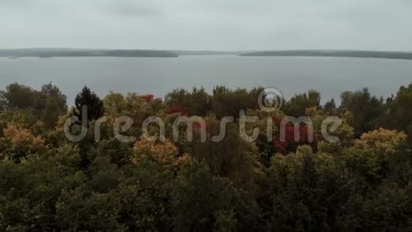 无人机在森林上空低飞飞向一个大湖空中观景4K视频的预览图