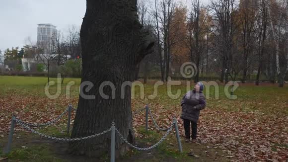 老太太抬头看着公园里高栅栏的树视频的预览图