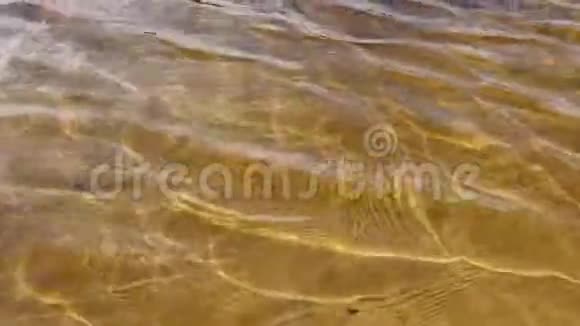 催眠重复黄水波阳光明媚的一天夏天沙河河床视频的预览图