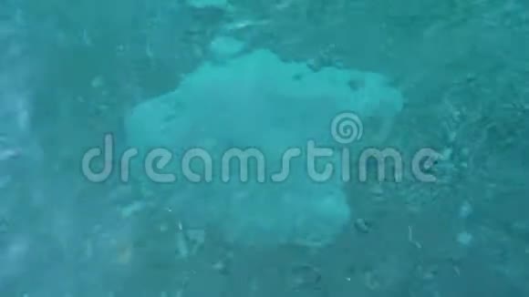海底通过晶莹剔透的海浪微微兴奋视频的预览图