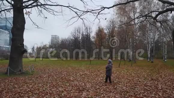 老太太走近公园里的一棵老树视频的预览图