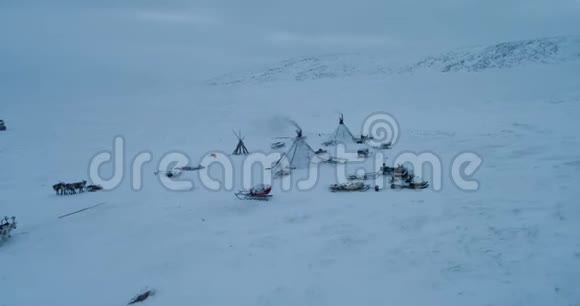 西伯利亚冻土带中央的蒙古包营地驯鹿和雪橇在营地旁边雄蜂飞翔的美景令人惊叹视频的预览图