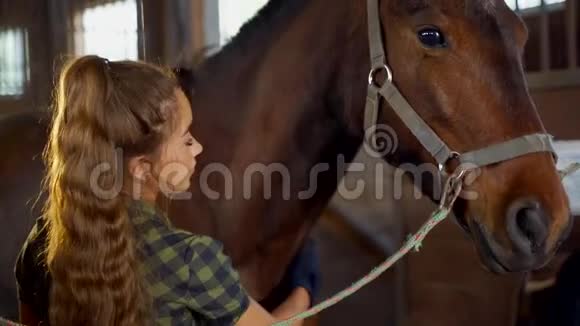 马厩里的女孩正在刷牙关心一匹马视频的预览图