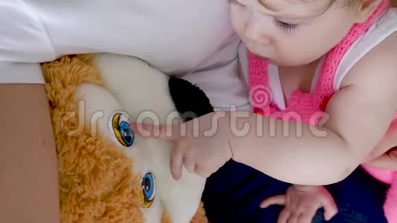 小宝宝用熊的眼睛看奇德玩大软玩具特写视频的预览图