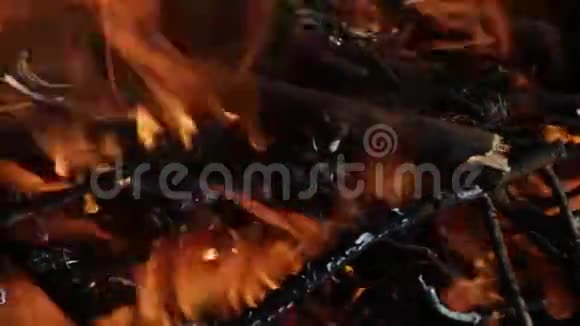 木柴在火里燃烧火焰舌视频的预览图