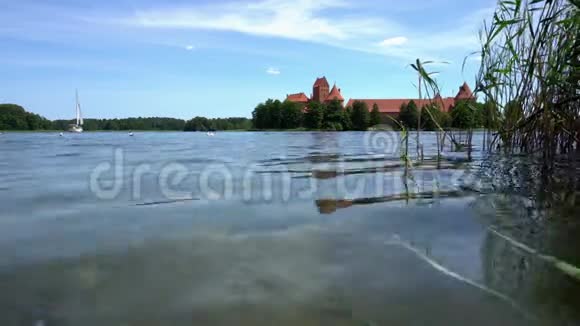 小鸭子鸟浮在水上城堡被湖包围万向节运动视频的预览图