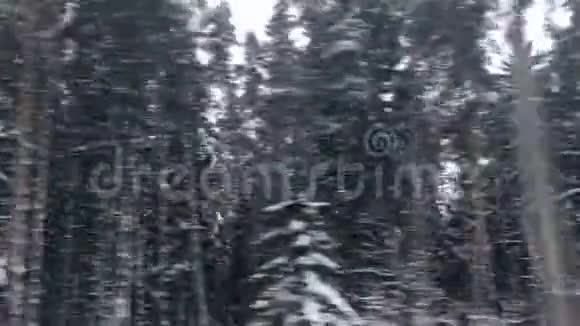 冬季森林雪道之旅欧洲风景优美的汽车窗景旅游全景和自然景观视频的预览图
